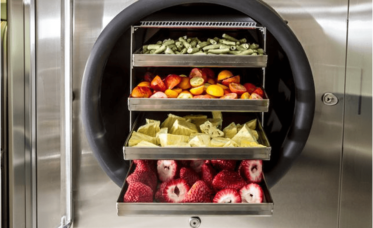IZY freeze-drying equipment